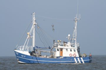 Fischerhäfen in Europa